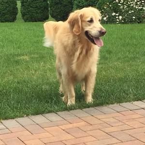 Meet your Posher, Sharon